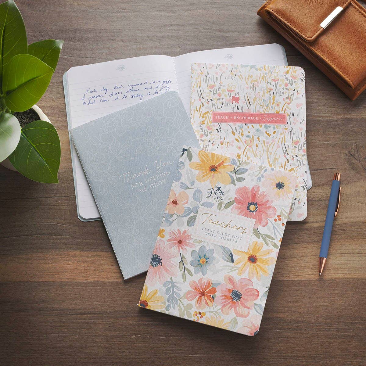 Notebook Set 3pc LG Teachers Plant Seeds
