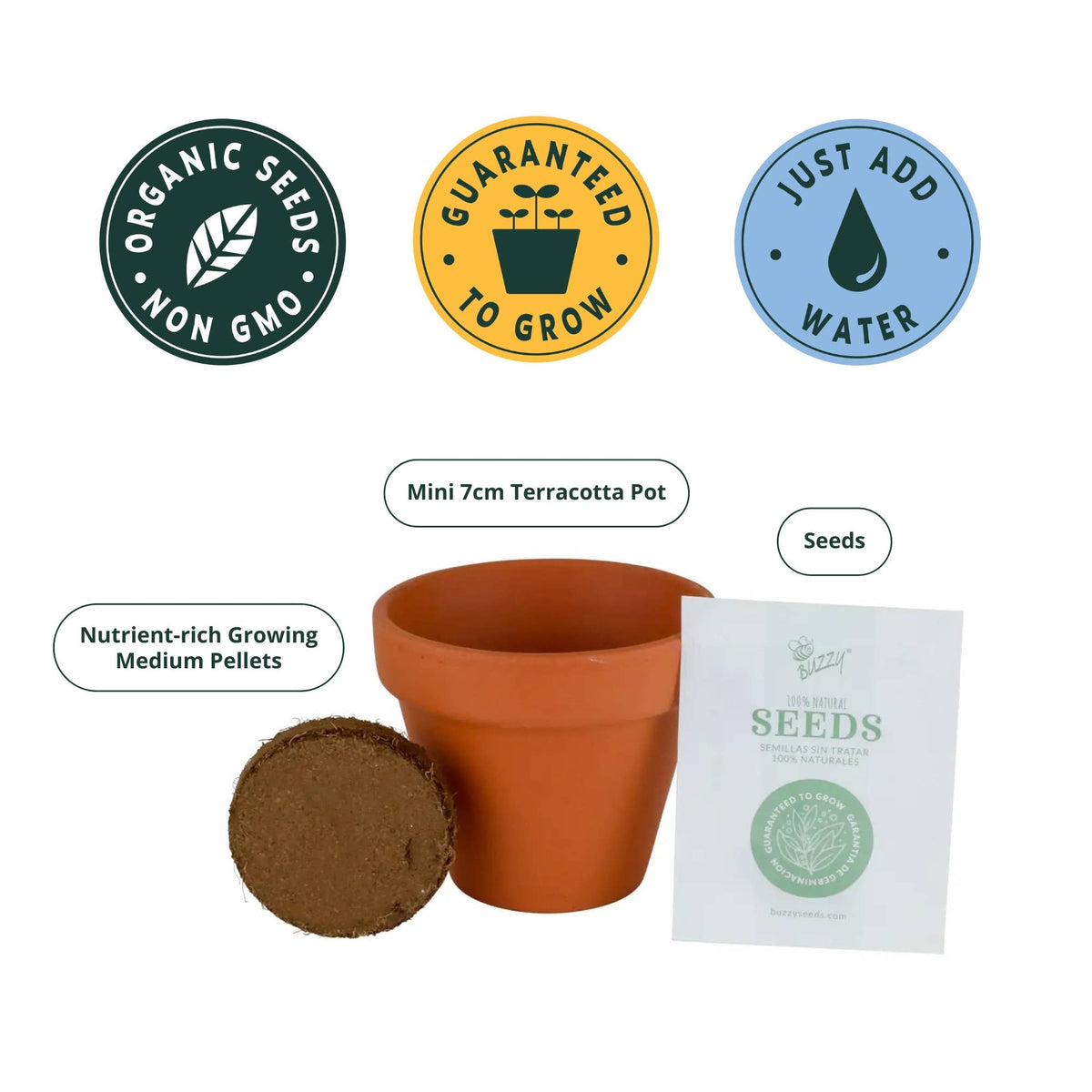 Holiday Festive Animals Mini Terracotta Pots