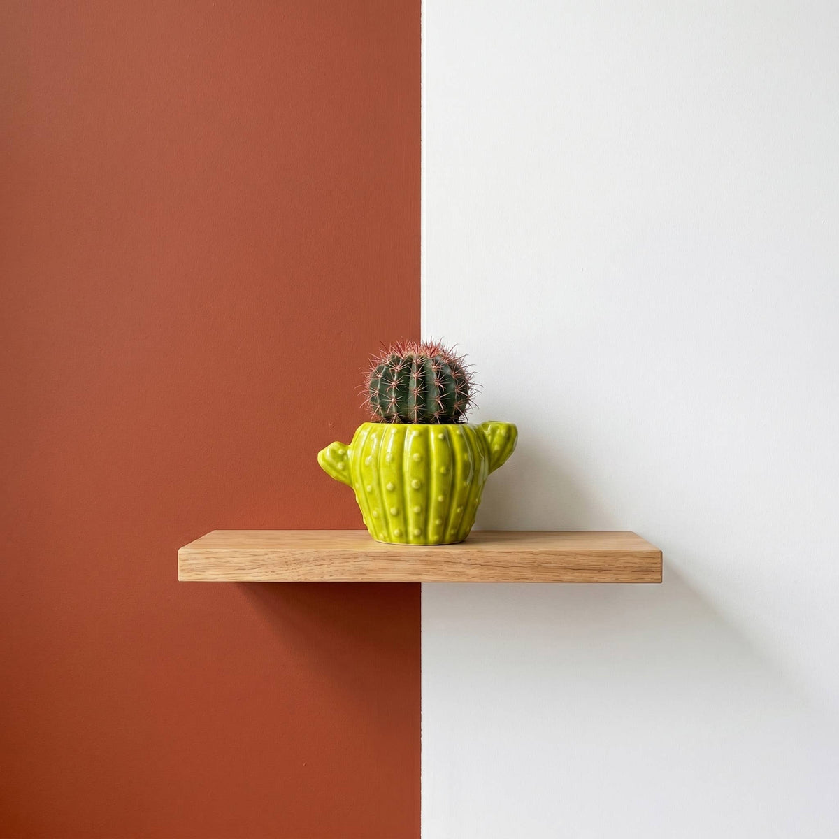 Classic Cactus Grow Kit | Terracotta Planter | Indoor Gift