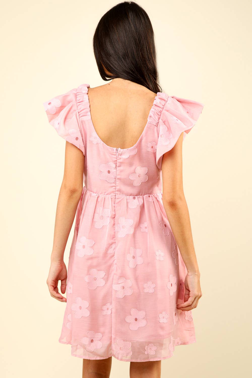 Flower Embroidered Sheer Organza Mini Dress