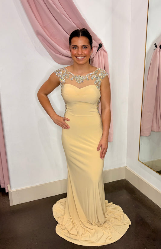 SLEEVELESS FITTED EVENING GOWN ~ X-Small