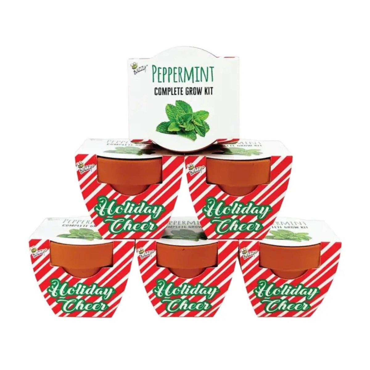Holiday Candy Cane Mini Terracotta Pots