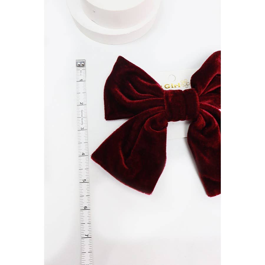 Assorted Large Velvet Bow Clips