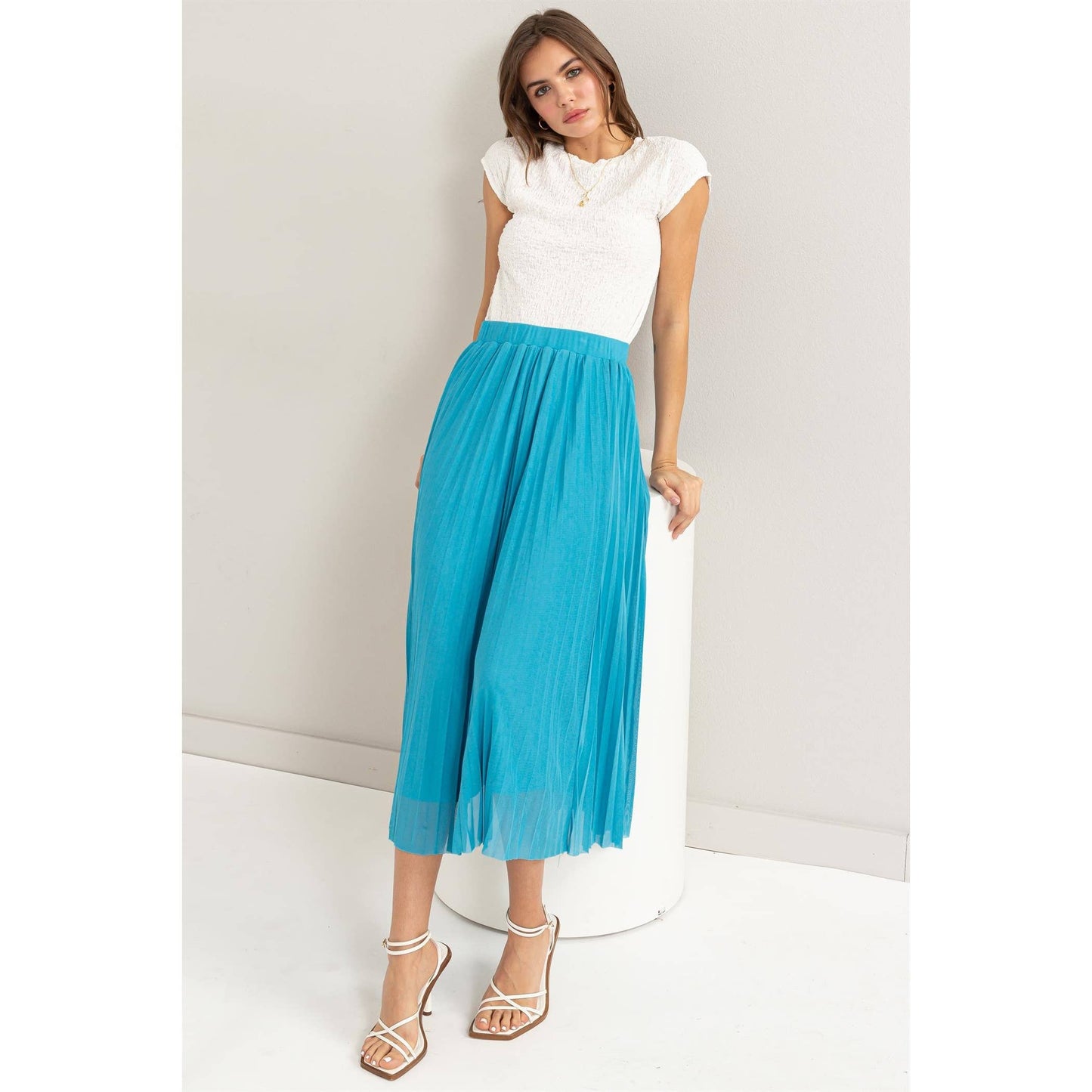 Pleated High-Waist Mesh Skirt