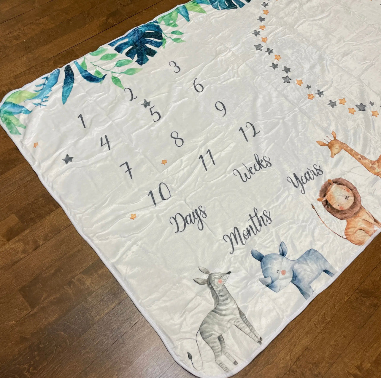 Wild Safari Milestone Blanket