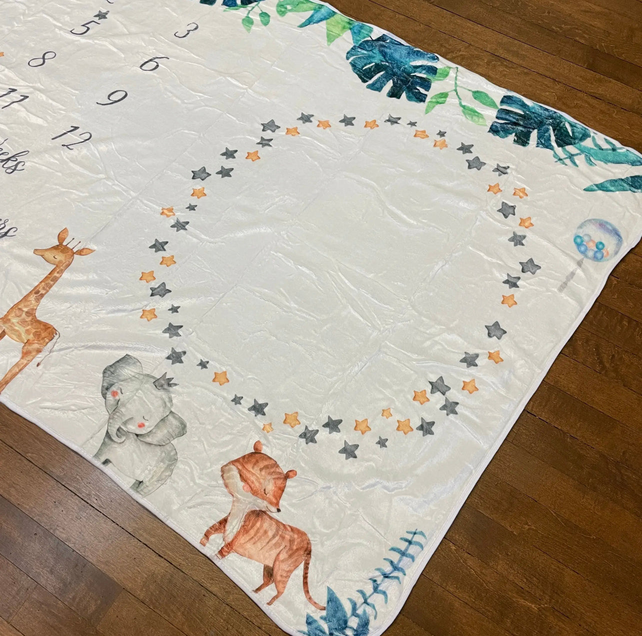 Wild Safari Milestone Blanket